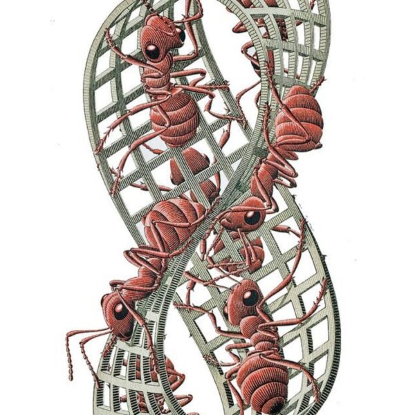 Storia Instagram Mariotto Design con prodotto di design stampato in 3D